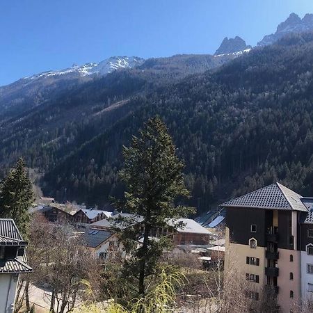 Appartement Cosy - Aiguille Du Midi 霞慕尼 外观 照片